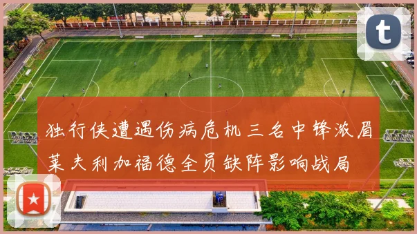 独行侠遭遇伤病危机三名中锋浓眉莱夫利加福德全员缺阵影响战局