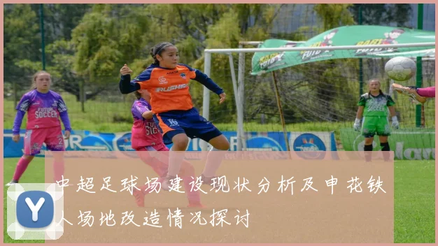 中超足球场建设现状分析及申花铁人场地改造情况探讨