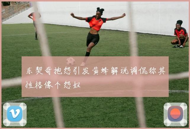 东契奇抱怨引发黄蜂解说调侃称其性格像个怨妇